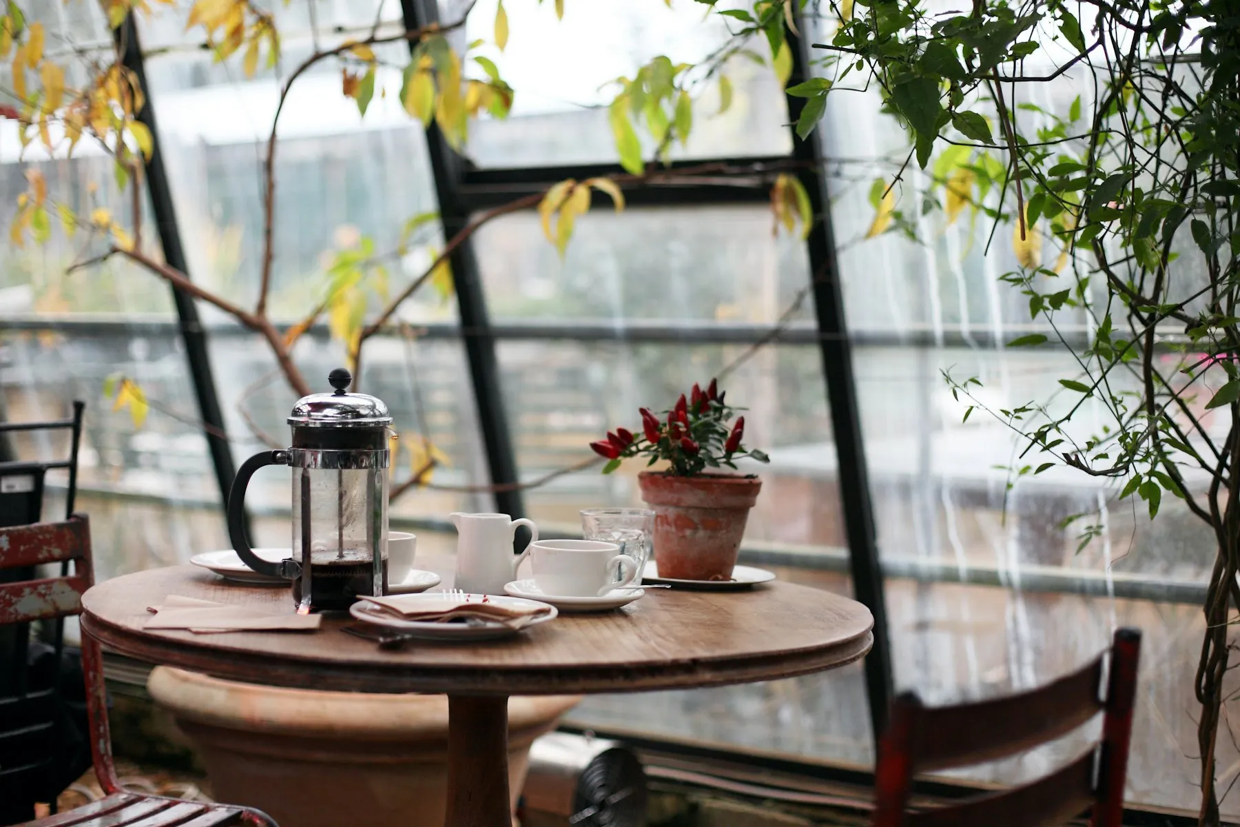 Cosy cafe table with fresh coffee by plant-framed greenhouse windows