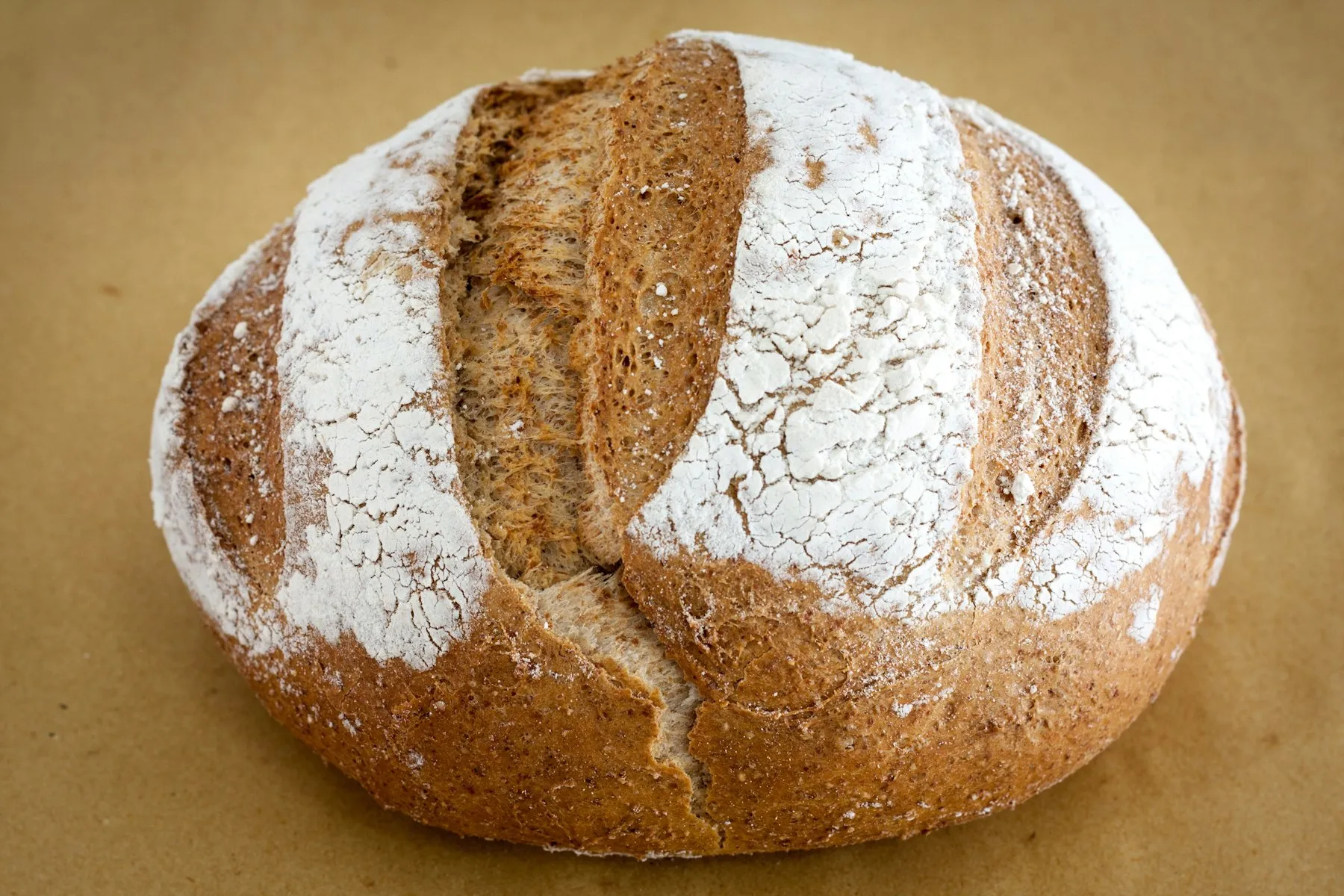 Freshly baked floured sourdough loaf with a crackled crust